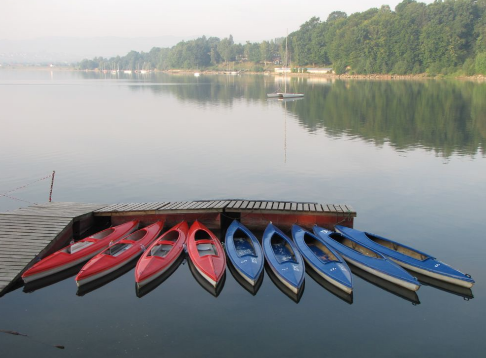 Obóz sportów walk bjj dla dzieci i młodzieży - mocne dzieciaki - Żywiec